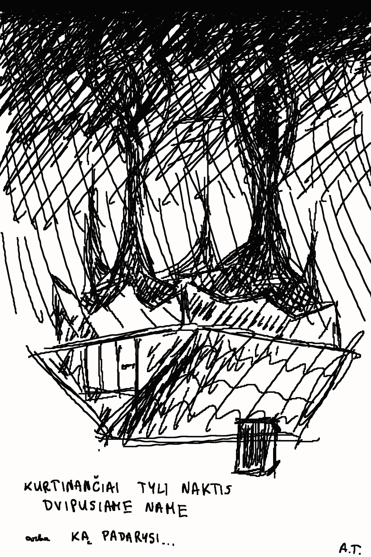 Dvipusis namas book cover