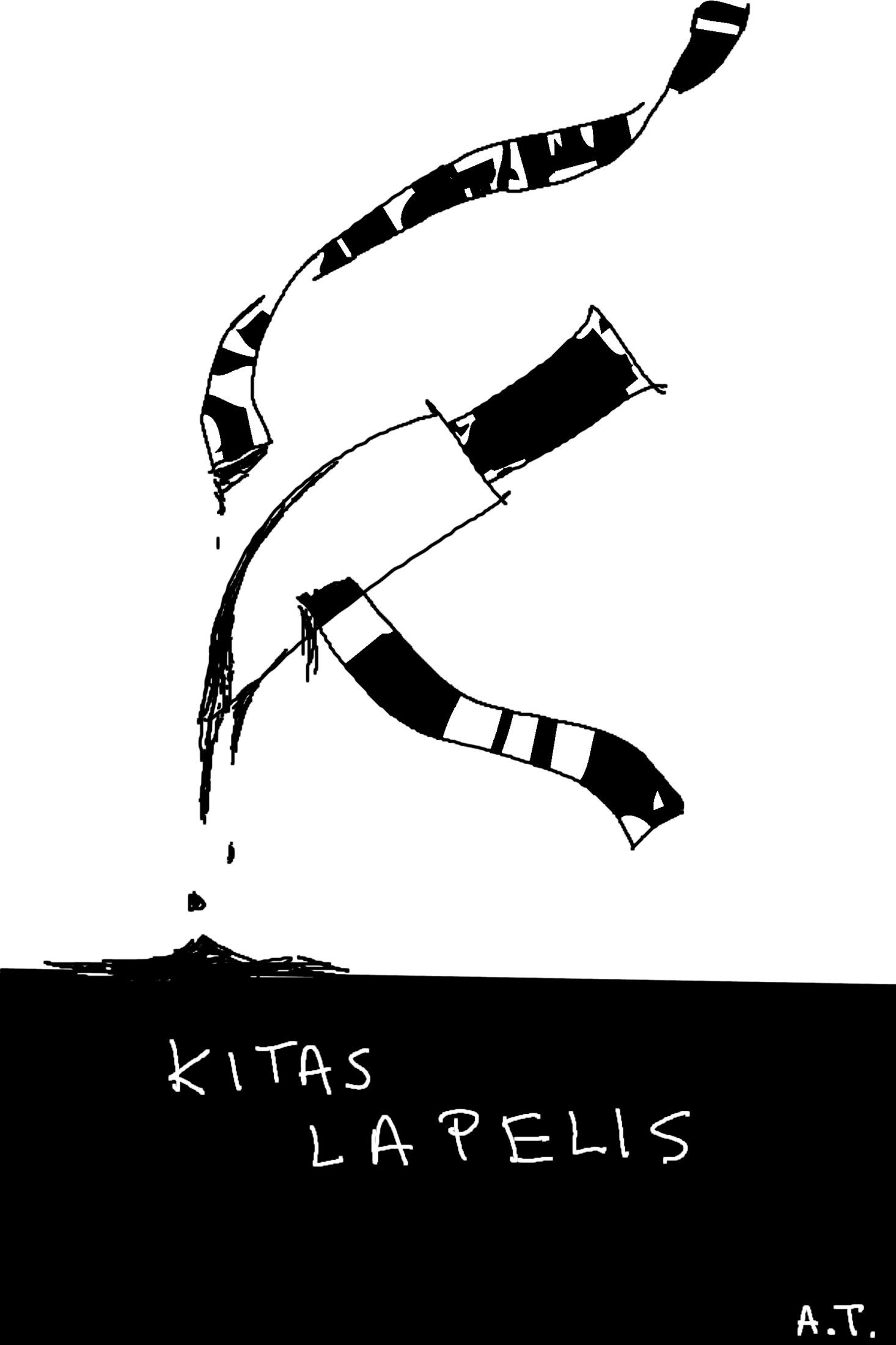Kitas lapelis book cover