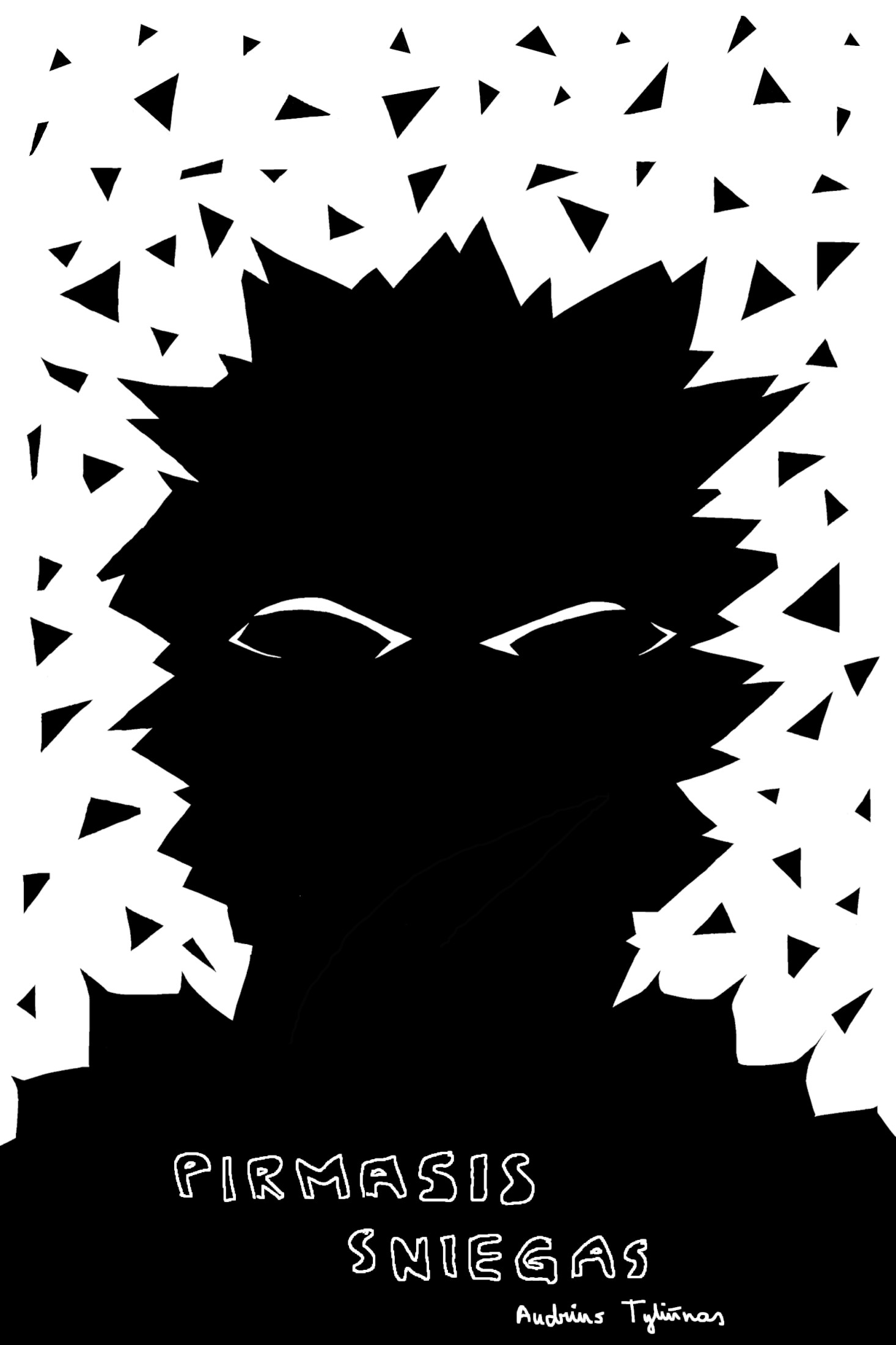 Pirmasis sniegas book cover